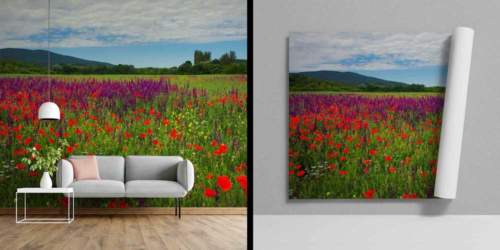 Kır Çiçekleri ve Gelincik Tarlası Manzarası Duvar Kağıdı 4714