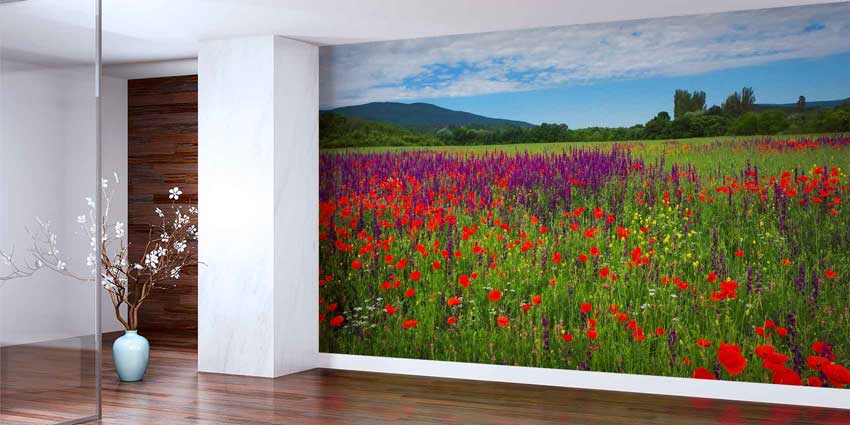 Kır Çiçekleri ve Gelincik Tarlası Manzarası Duvar Kağıdı 4714