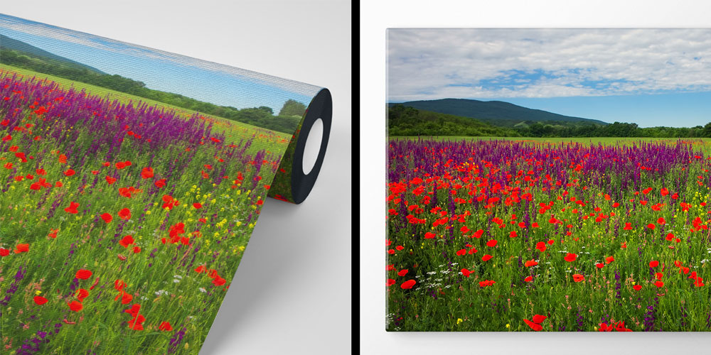Kır Çiçekleri ve Gelincik Tarlası Manzarası Duvar Kağıdı 4714