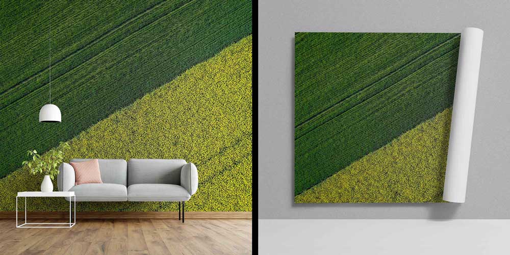 Yeşil ve Sarı Tarım Tarlaları Havadan Görünüm Duvar Kağıdı 4715