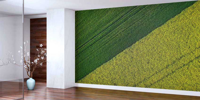 Yeşil ve Sarı Tarım Tarlaları Havadan Görünüm Duvar Kağıdı 4715