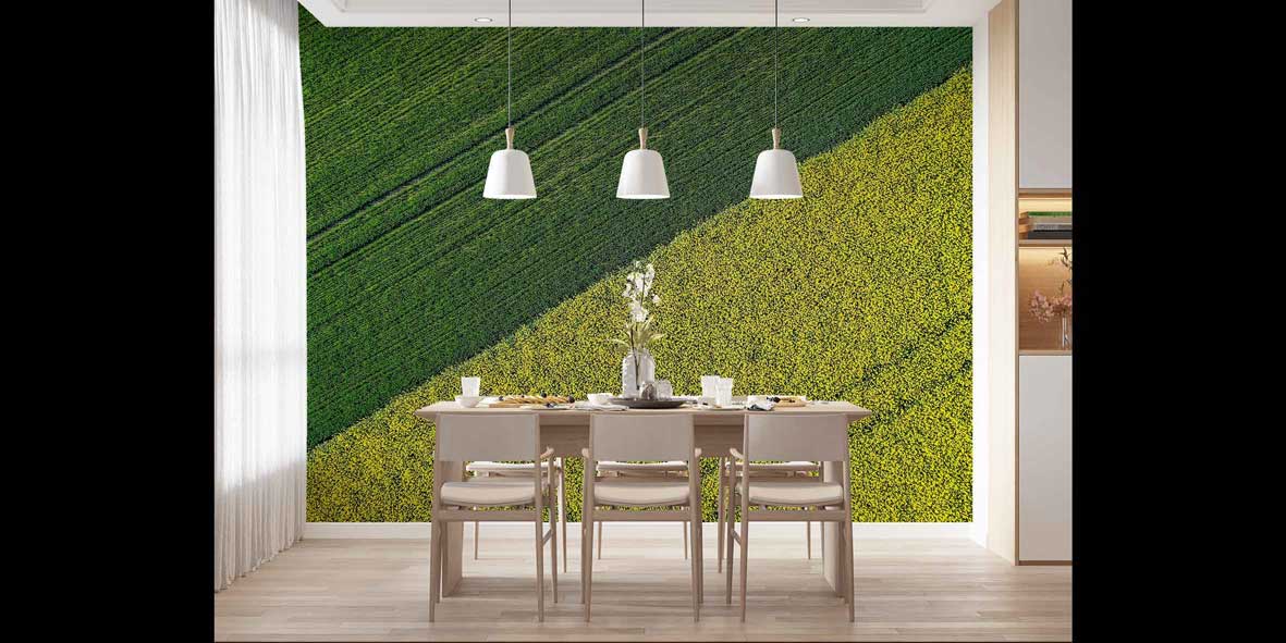 Yeşil ve Sarı Tarım Tarlaları Havadan Görünüm Duvar Kağıdı 4715