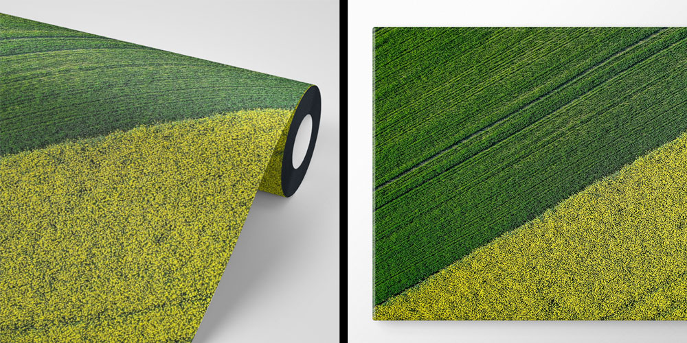 Yeşil ve Sarı Tarım Tarlaları Havadan Görünüm Duvar Kağıdı 4715