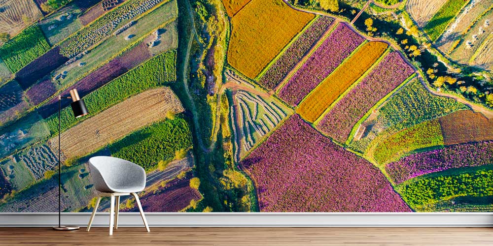 Renkli Tarlalar Havadan Görünüm Doğa Temalı Duvar Kağıdı 4717
