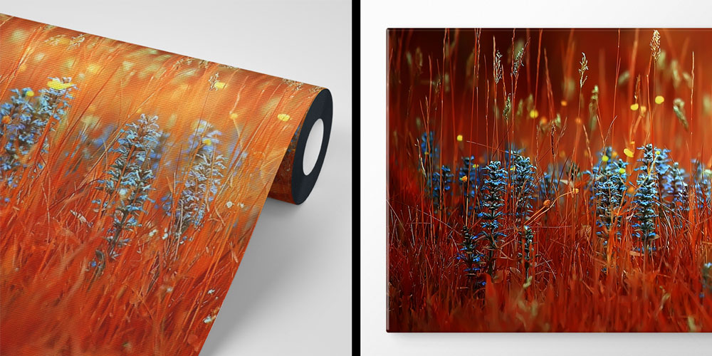 Sıcak Tonlu Çayır Çiçekleri Doğa Temalı Duvar Kağıdı 4718