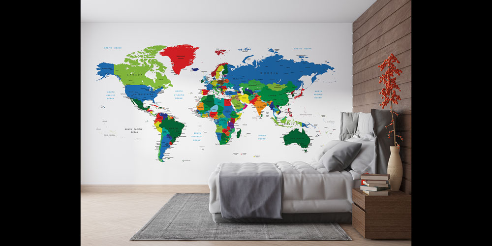 Renk Kodlu Detaylı Siyasi Dünya Haritası Harita Sanatı Duvar Kağıdı 5137