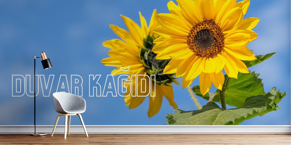 Duvar Kağıdı BM-009