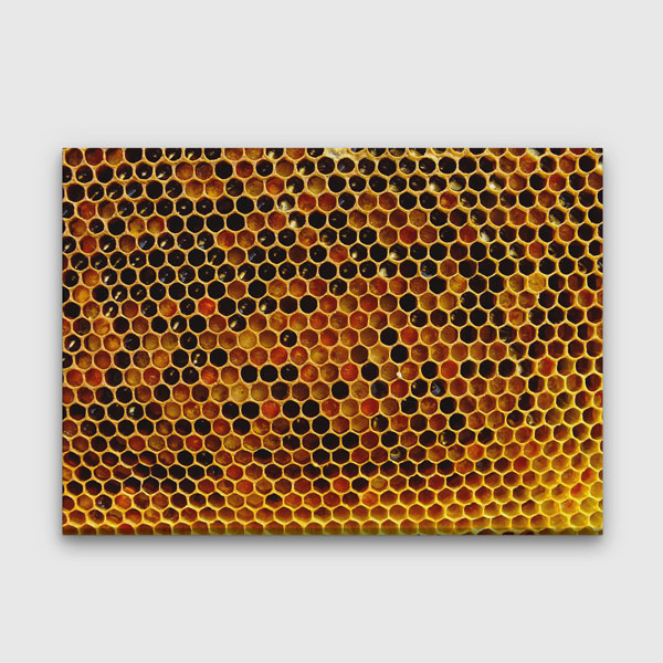 Altın Tonlu Bal Peteği Dokusu Kanvas Tablo 4687