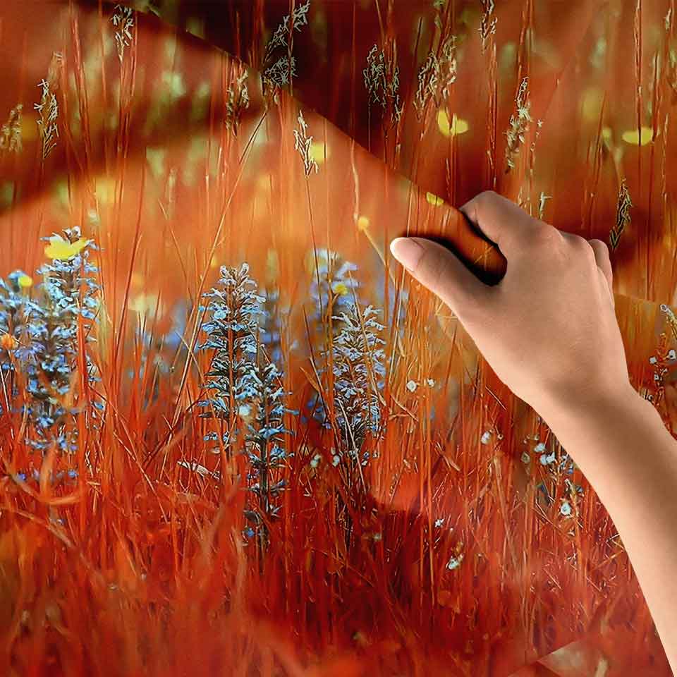 Turuncu Kır Çiçekleri ve Mavi Lavanta Tarlası Duvar Örtüsü 4748