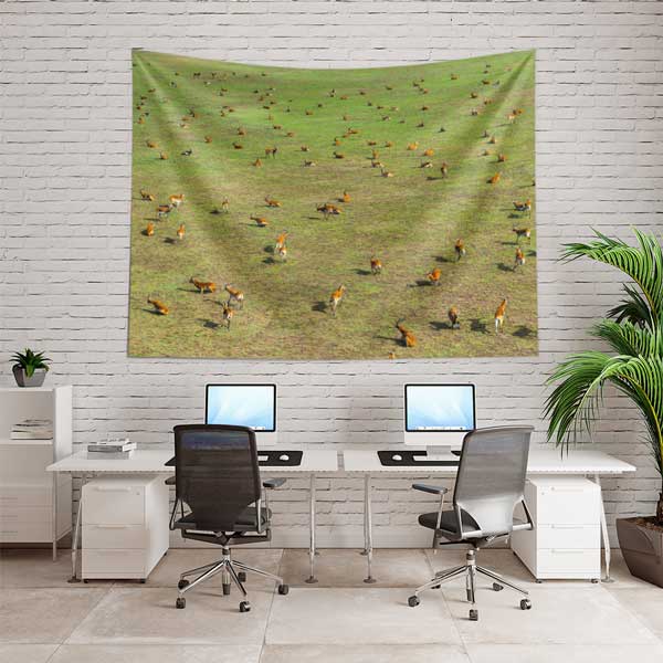 Afrika Savanası Antilop Sürüsü Doğa Manzarası Duvar Örtüsü Kumaş Baskı 14279