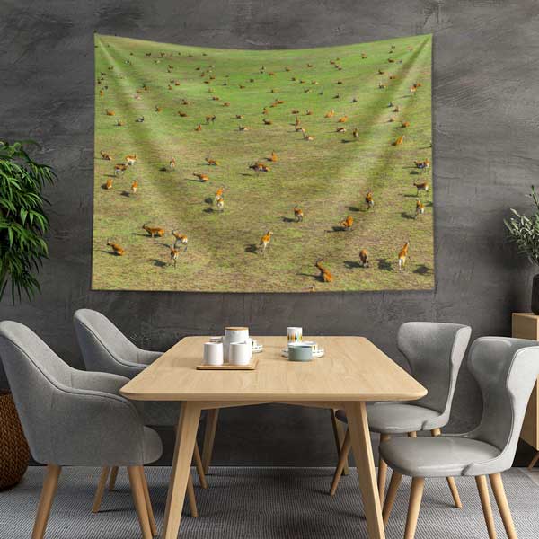 Afrika Savanası Antilop Sürüsü Doğa Manzarası Duvar Örtüsü Kumaş Baskı 14279