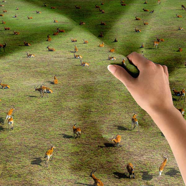 Afrika Savanası Antilop Sürüsü Doğa Manzarası Duvar Örtüsü Kumaş Baskı 14279