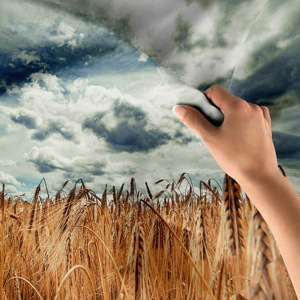 duvar-ortusu-4734-06 Altın Buğday Tarlası ve Gökyüzü Kır Manzarası Duvar Örtüsü Kumaş Baskı 4734