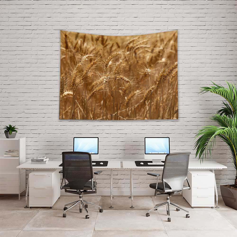 duvar-ortusu-4739-02 Altın Buğday Başakları Yakın Plan Kır Manzarası Duvar Örtüsü Kumaş Baskı 4739