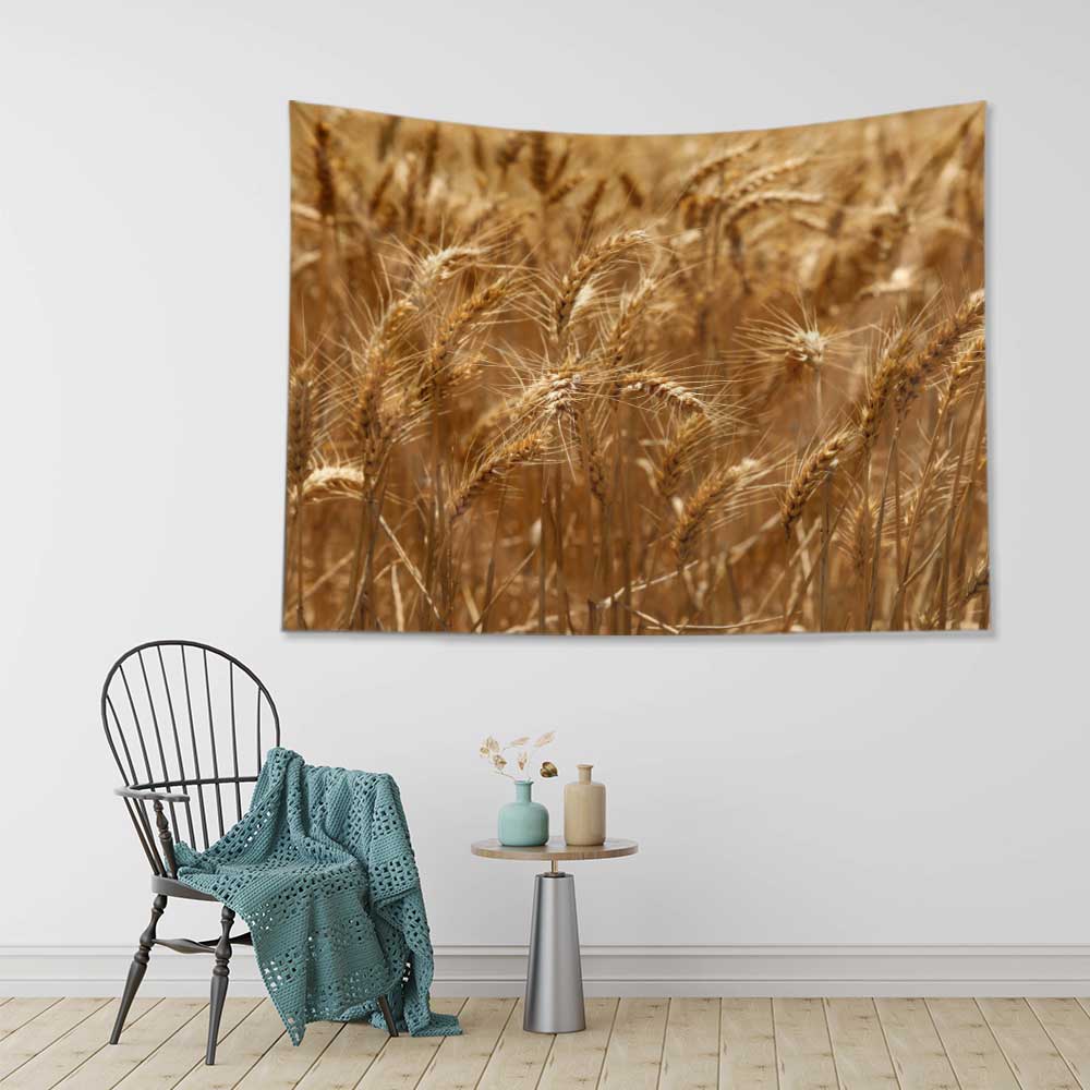 duvar-ortusu-4739-03 Altın Buğday Başakları Yakın Plan Kır Manzarası Duvar Örtüsü Kumaş Baskı 4739