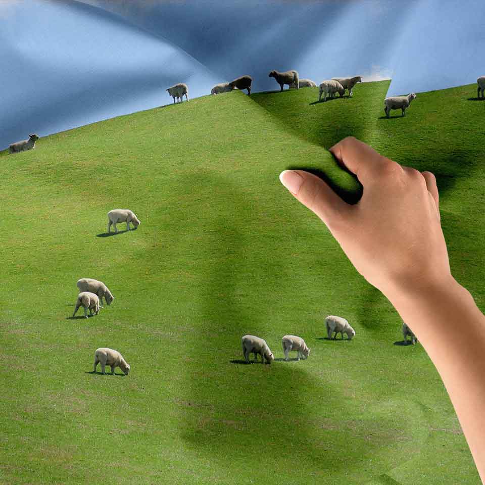 Yeşil Tepede Otlayan Koyunlar Çiftlik Temalı Duvar Örtüsü 4742