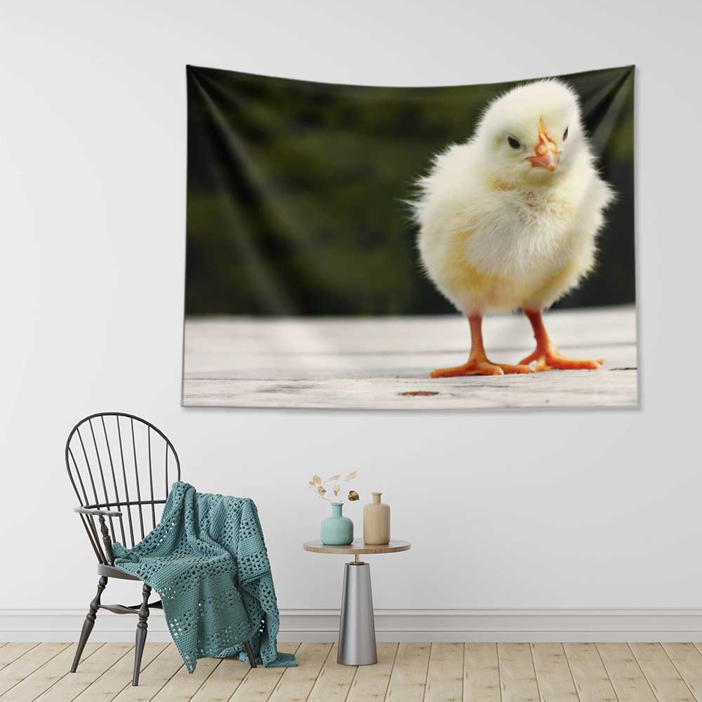 Sevimli Civciv Doğa Temalı Duvar Örtüsü 4745