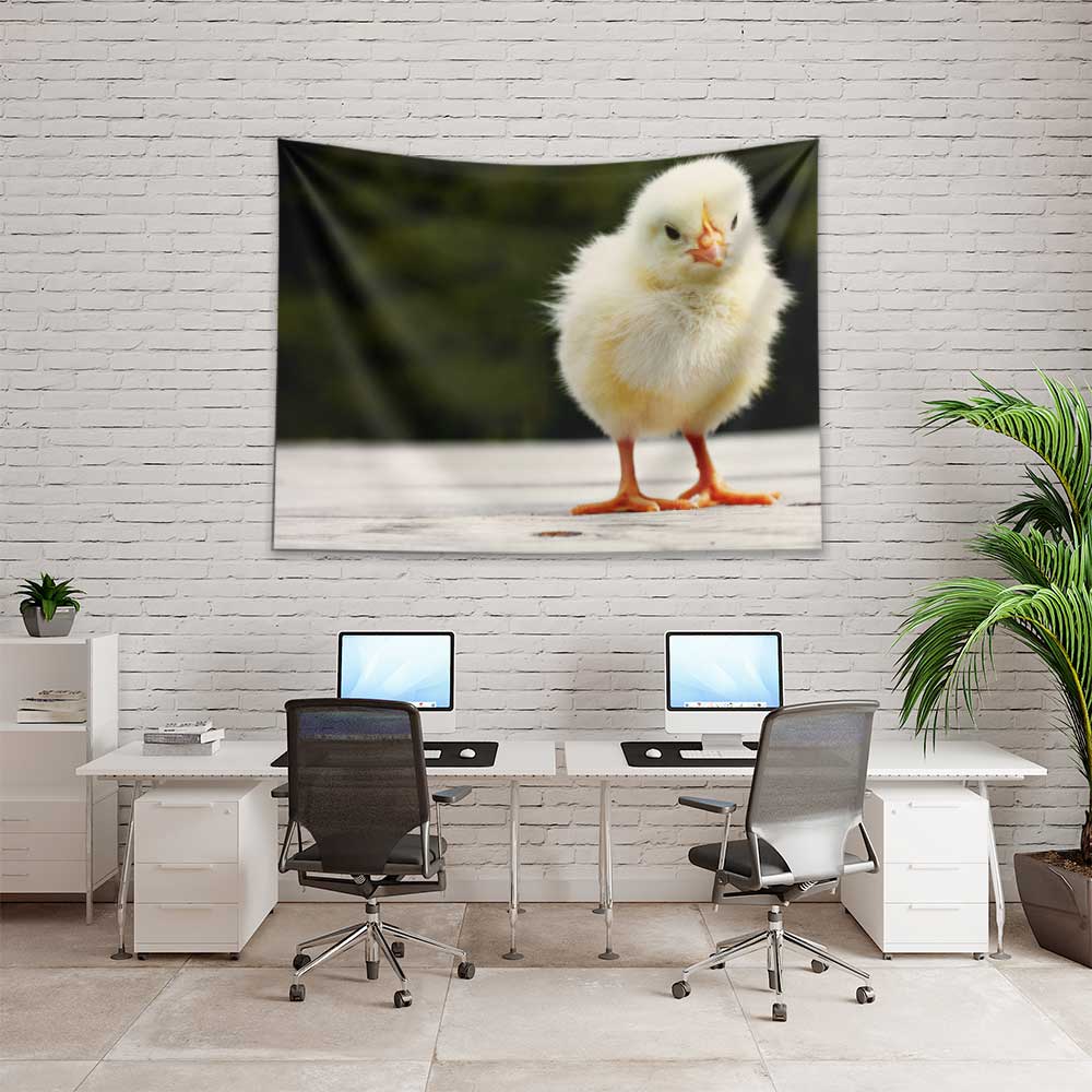 Sevimli Civciv Doğa Temalı Duvar Örtüsü 4745