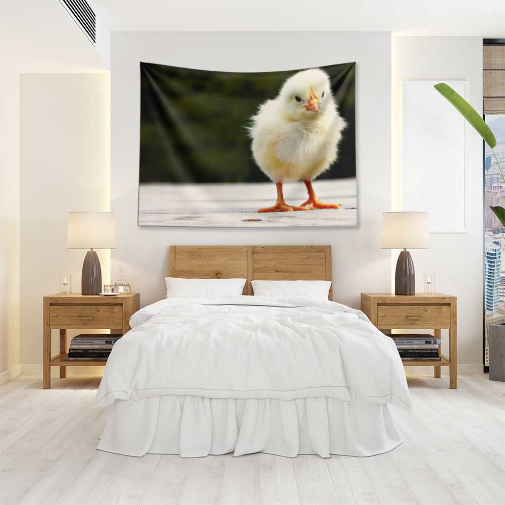 Sevimli Civciv Doğa Temalı Duvar Örtüsü 4745