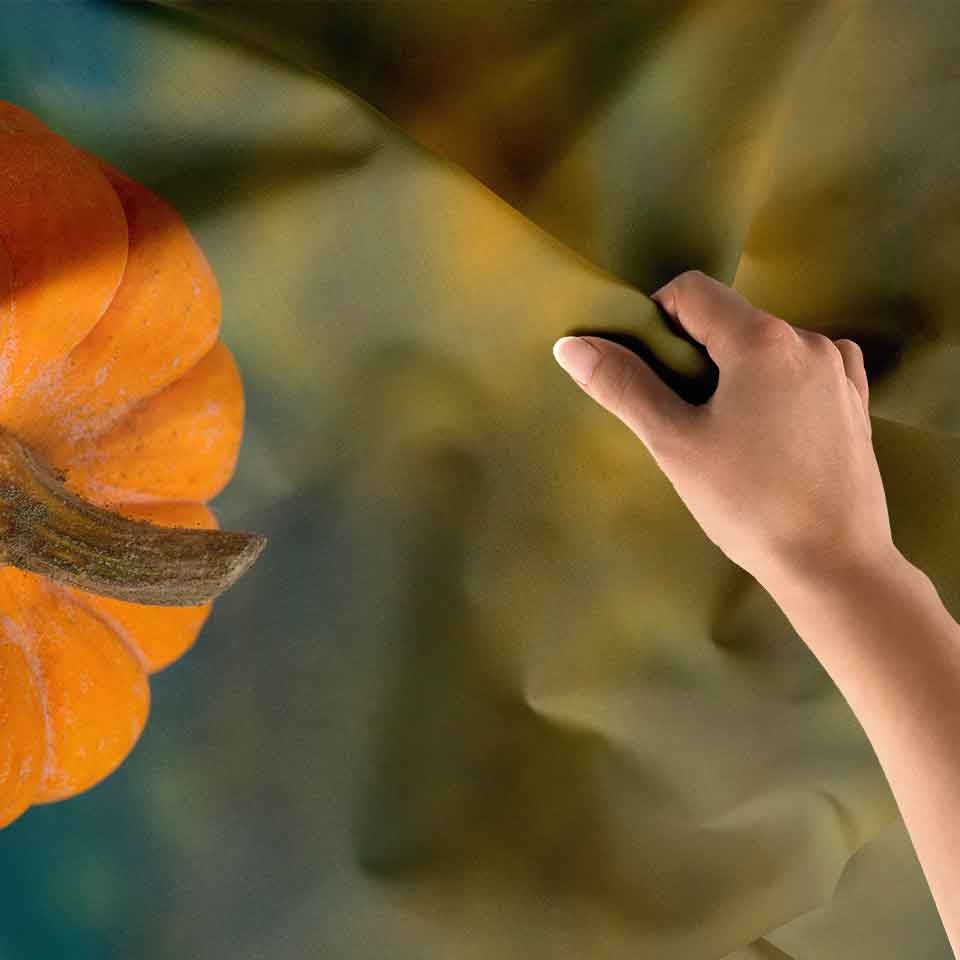 Turuncu Balkabağı Fotoğraflı Duvar Örtüsü 4757