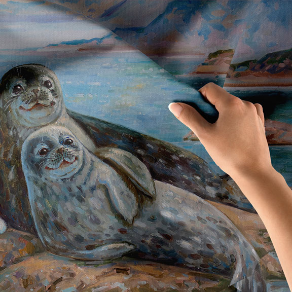 Sevimli Fok Ailesi Duvar Örtüsü 4945