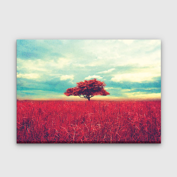 Kızıl Tarlada Yalnız Ağaç Manzarası Kanvas Tablo 4395