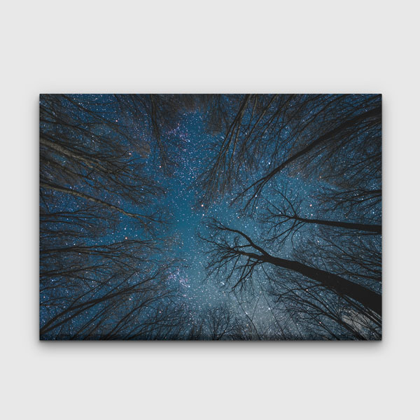 Yıldızlı Gece Orman Gökyüzü Kanvas Tablo 4318