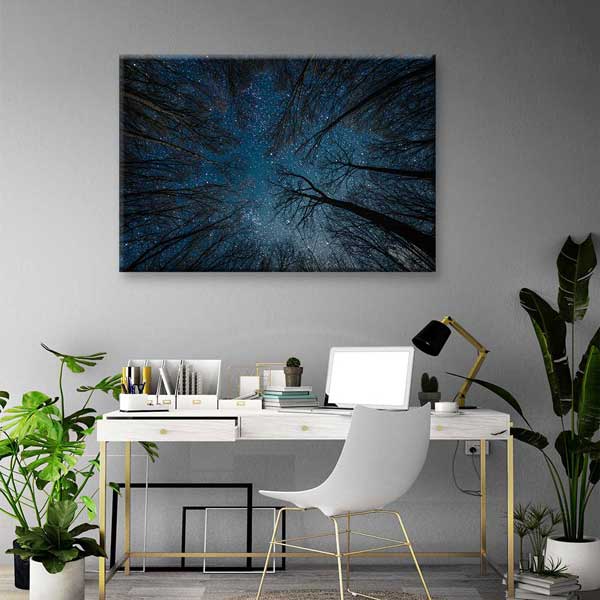 Yıldızlı Gece Orman Gökyüzü Kanvas Tablo 4318