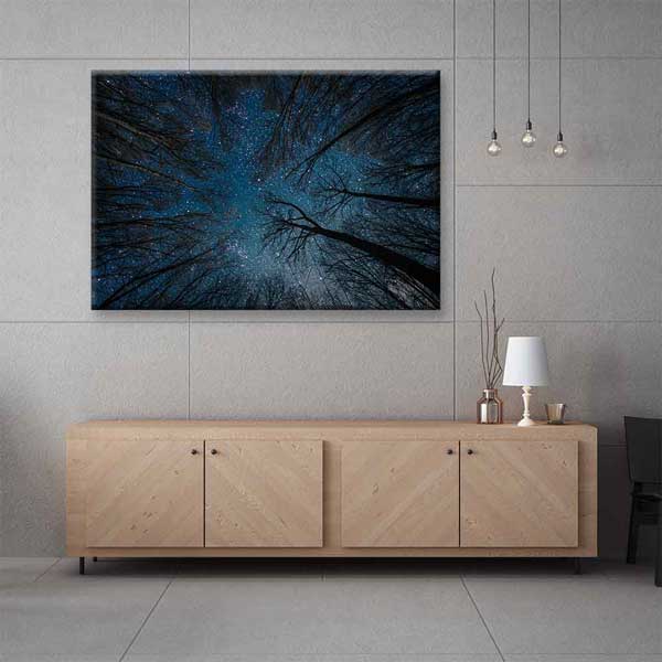 Yıldızlı Gece Orman Gökyüzü Kanvas Tablo 4318