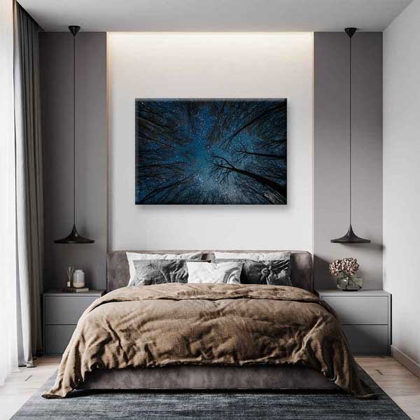 Yıldızlı Gece Orman Gökyüzü Kanvas Tablo 4318