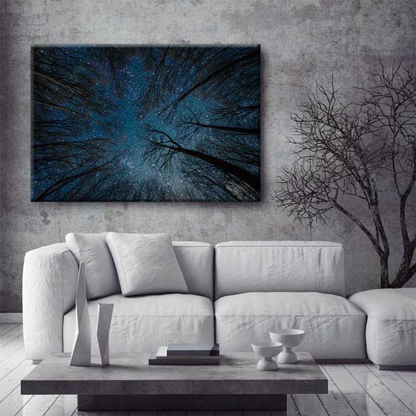 Yıldızlı Gece Orman Gökyüzü Kanvas Tablo 4318