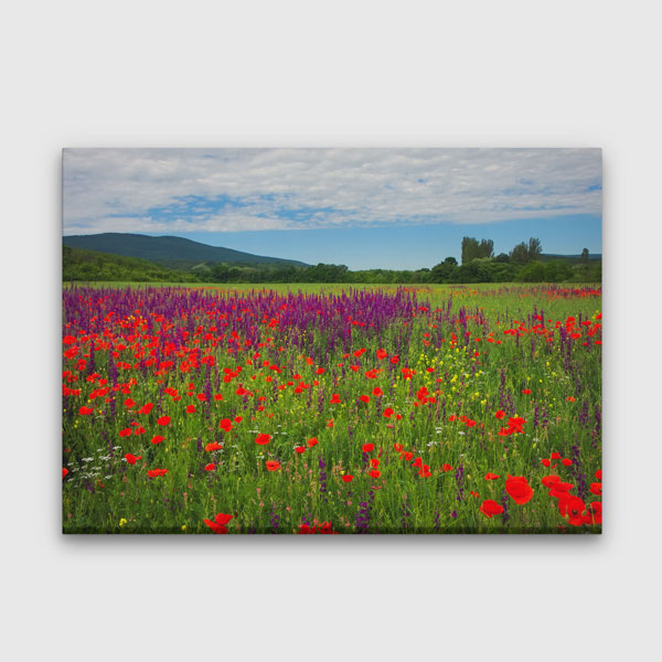Renkli Kır Çiçekleri Tarlası Manzarası Kanvas Tablo 4690