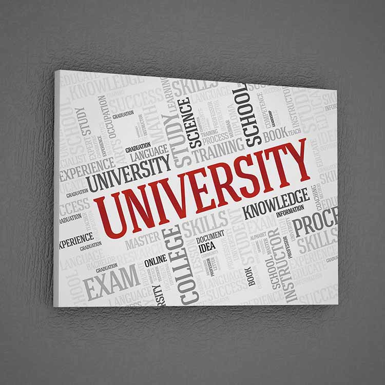Üniversite Kelime Bulutu Tablosu: Eğitim ve Başarı Odaklı Dekor – 3205