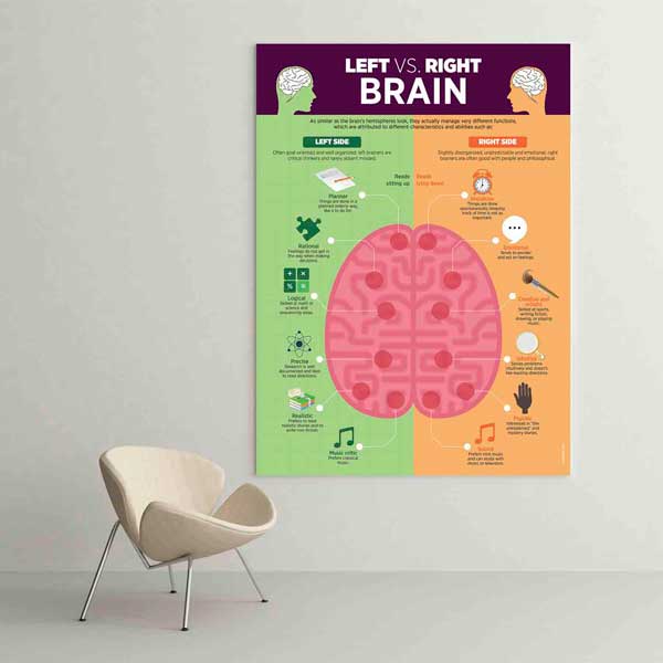 english-class-wall-design-b-516-01 Sağ Sol Beyin Farkları Poster Tablo – B-516