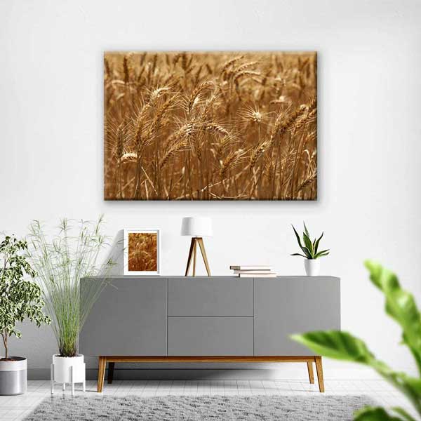 Buğday Başakları Detay Manzarası Kanvas Tablo 4683
