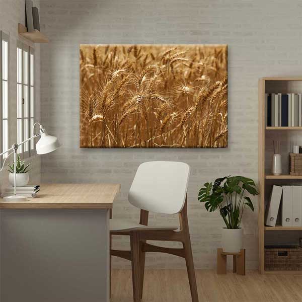 Buğday Başakları Detay Manzarası Kanvas Tablo 4683