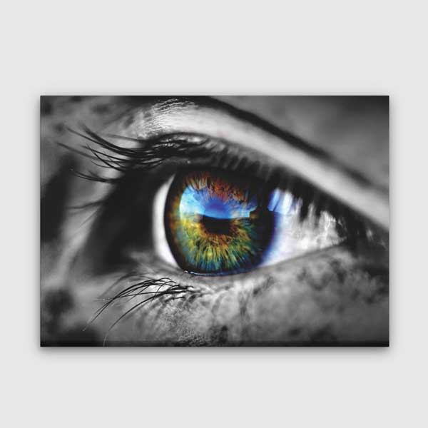 Canlı Renkli İris Detaylı Göz Tablosu – 1870