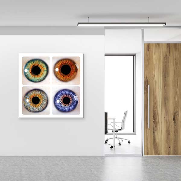 Farklı Renklerde İris Duvar Tablosu – 1559