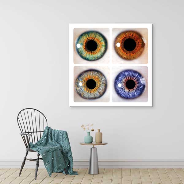 Farklı Renklerde İris Duvar Tablosu – 1559