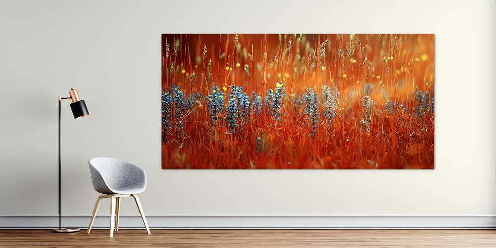 Kızıl Çayır ve Mavi Çiçekler Manzarası Büyük Ebat Duvar Dekor Ürünü 12494