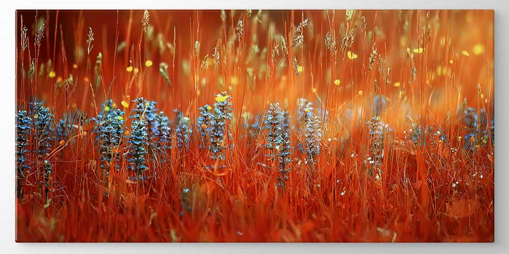 farm-house-wall-decor-12494-03 Kızıl Çayır ve Mavi Çiçekler Manzarası Büyük Ebat Duvar Dekor Ürünü 12494
