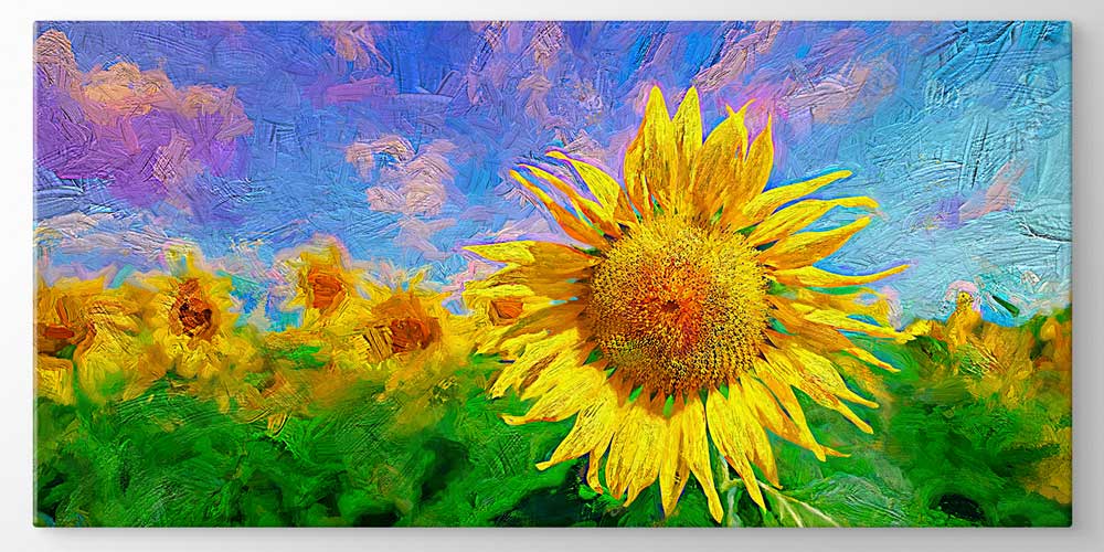 Ayçiçeği Tarlası Manzarası Büyük Ebat Duvar Dekor Ürünü 12481