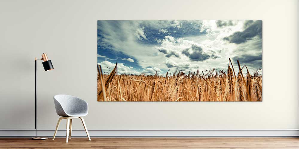 Buğday Tarlası Manzarası Büyük Ebat Duvar Dekor Ürünü 12482