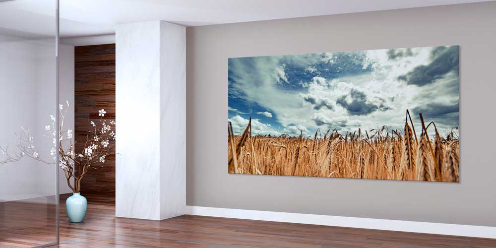 Buğday Tarlası Manzarası Büyük Ebat Duvar Dekor Ürünü 12482
