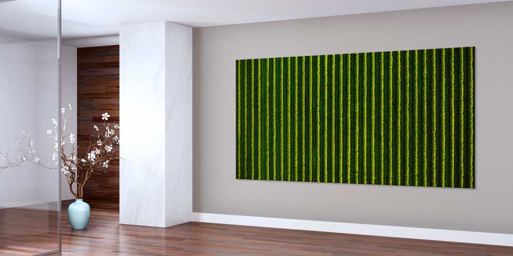 Yeşil Tarla Sıraları Manzarası Büyük Ebat Duvar Dekor Ürünü 12484