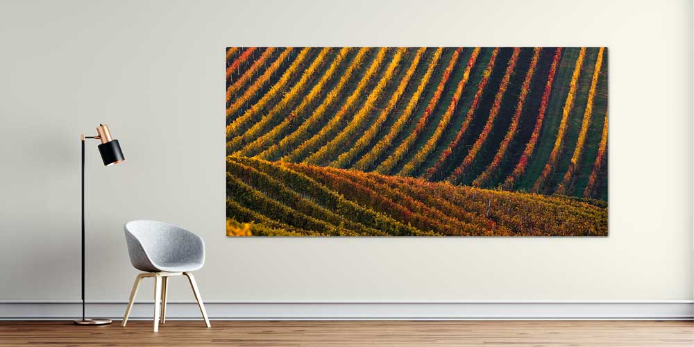 Renkli Tarla Sıraları Manzarası Büyük Ebat Duvar Dekor Ürünü 12486