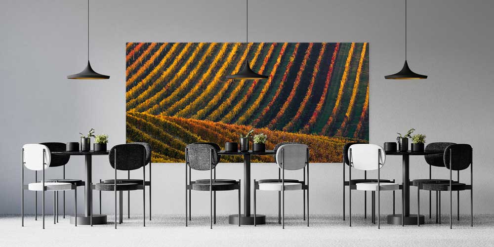 Renkli Tarla Sıraları Manzarası Büyük Ebat Duvar Dekor Ürünü 12486