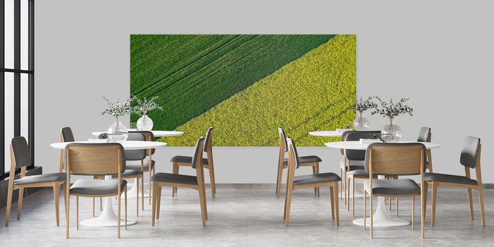 Yeşil ve Sarı Ekili Alan Kontrastı Büyük Ebat Duvar Dekor Ürünü 12492