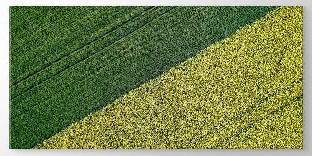 Yeşil ve Sarı Ekili Alan Kontrastı Büyük Ebat Duvar Dekor Ürünü 12492