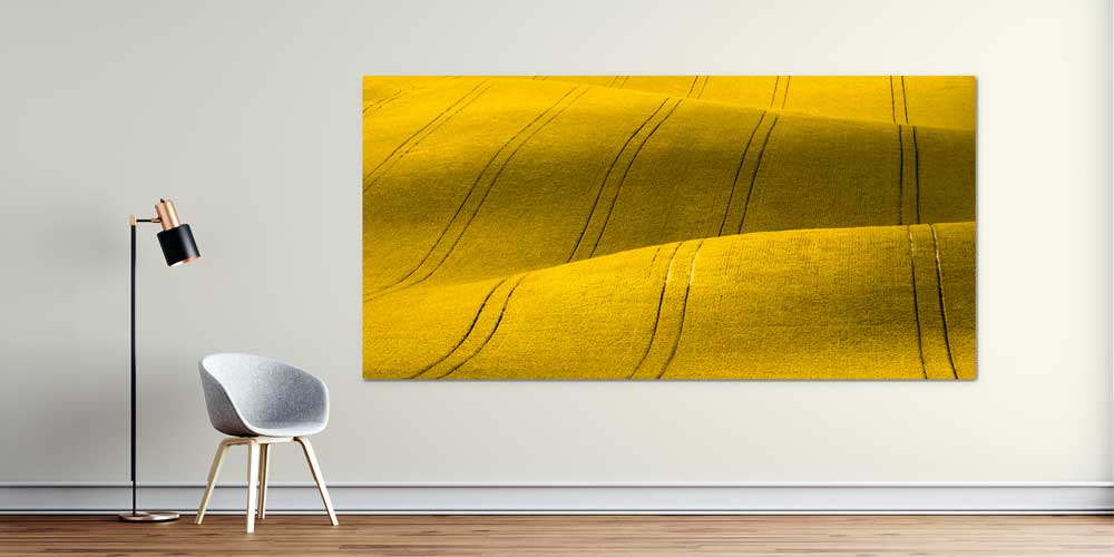 Altın Sarısı Tarla Manzarası Büyük Ebat Duvar Dekor Ürünü 12485